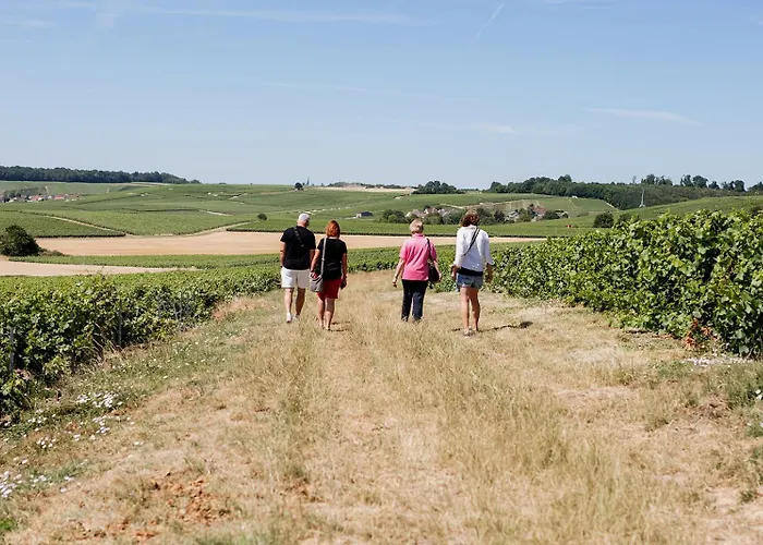 La Poterne L A Epernay 度假居